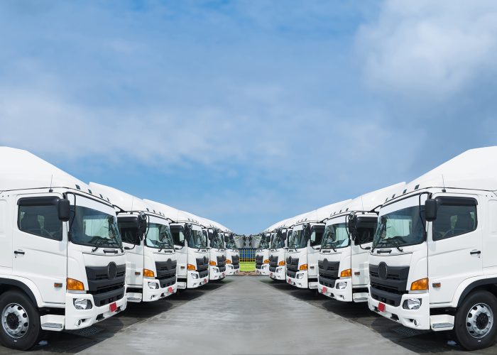 New,Truck,Fleet,Is,Parking,At,Yard. New truck fleet is parking at yard.